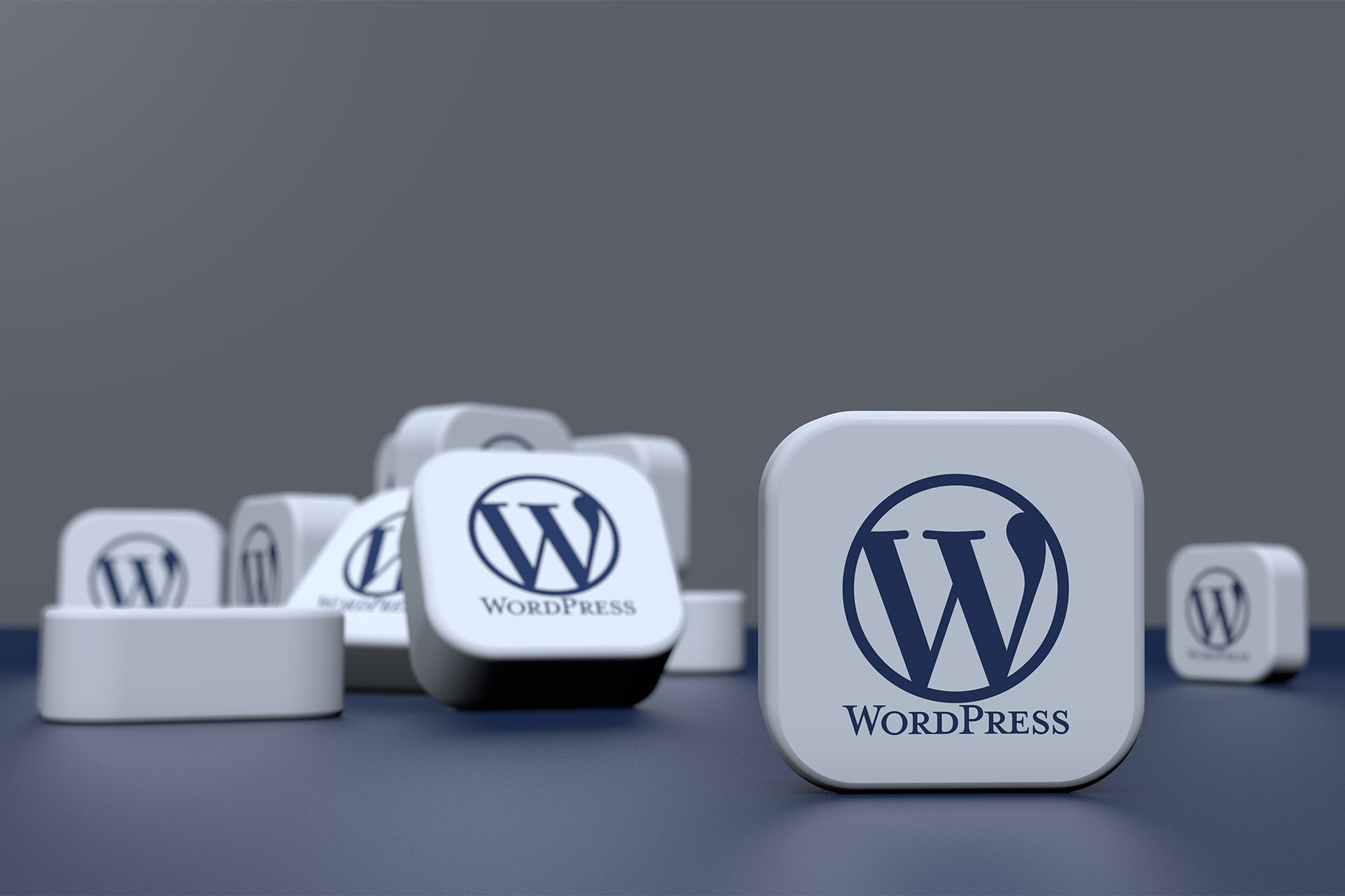 WordPress, WordPress, WordPress! Why is WordPress So Popular?