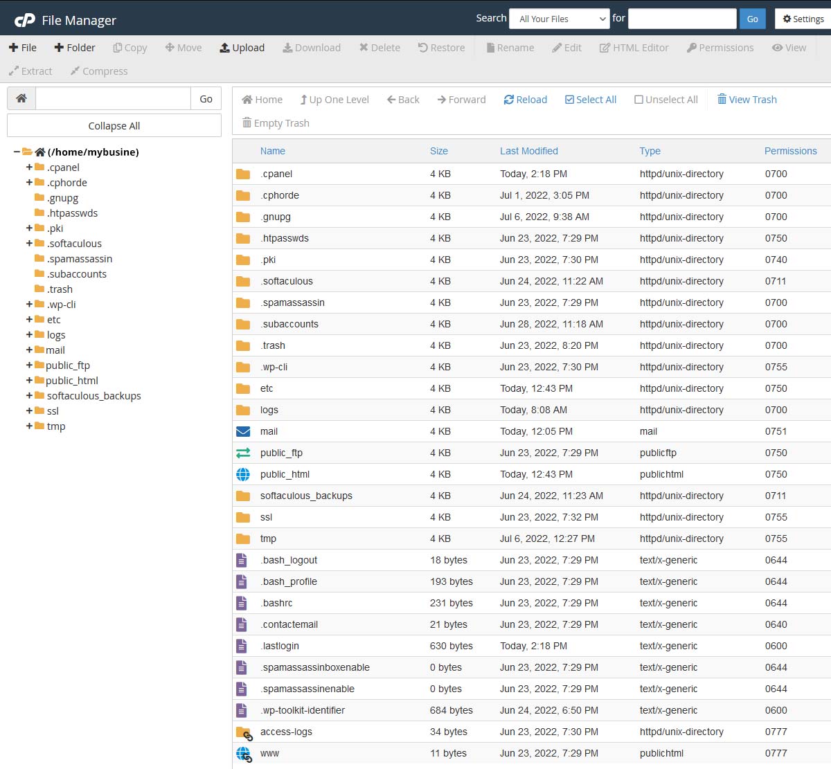 Knowing File Manager in cPanel 2