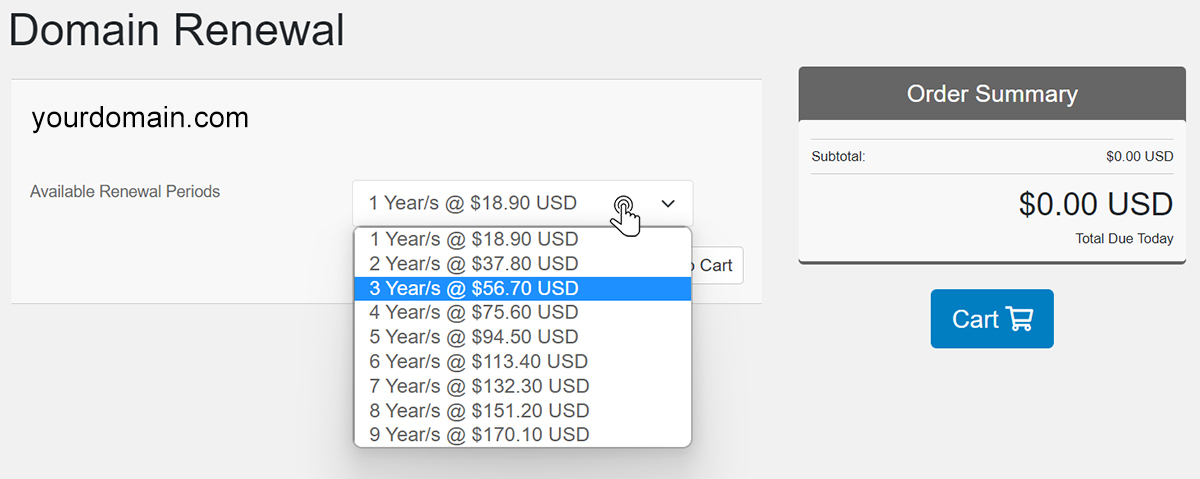 How to Renew Domain 3