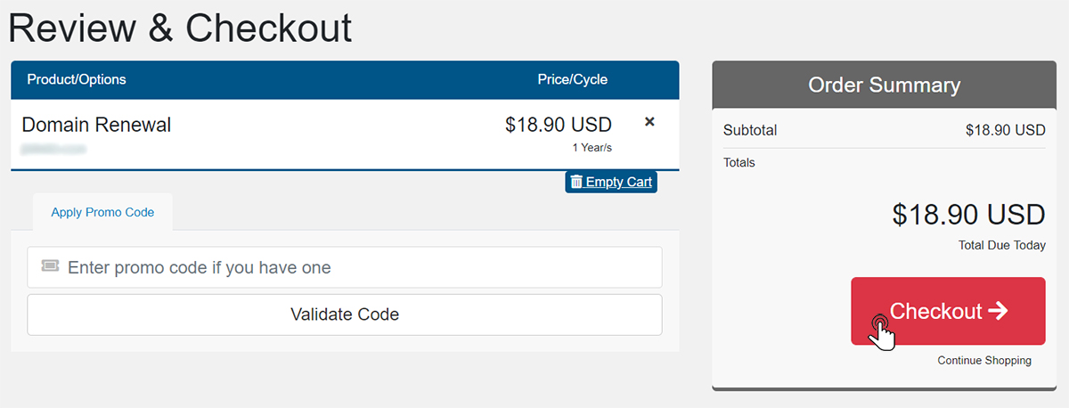 How to Renew Domain 6